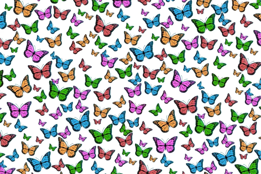 Butterfly Color Meaning & Symbolism