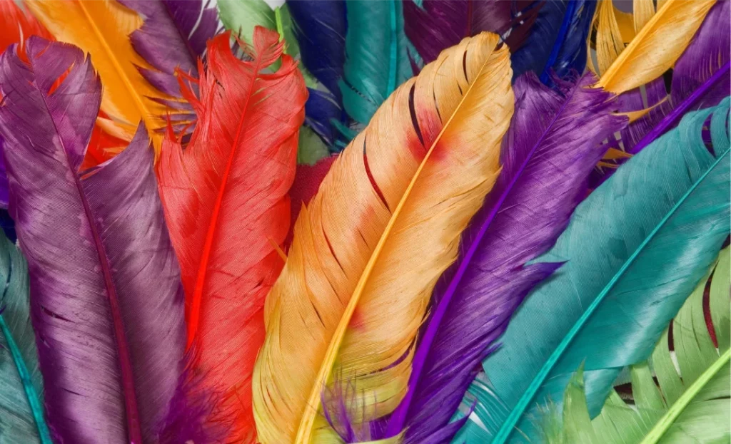 Feather Color Meanings & Symbolism