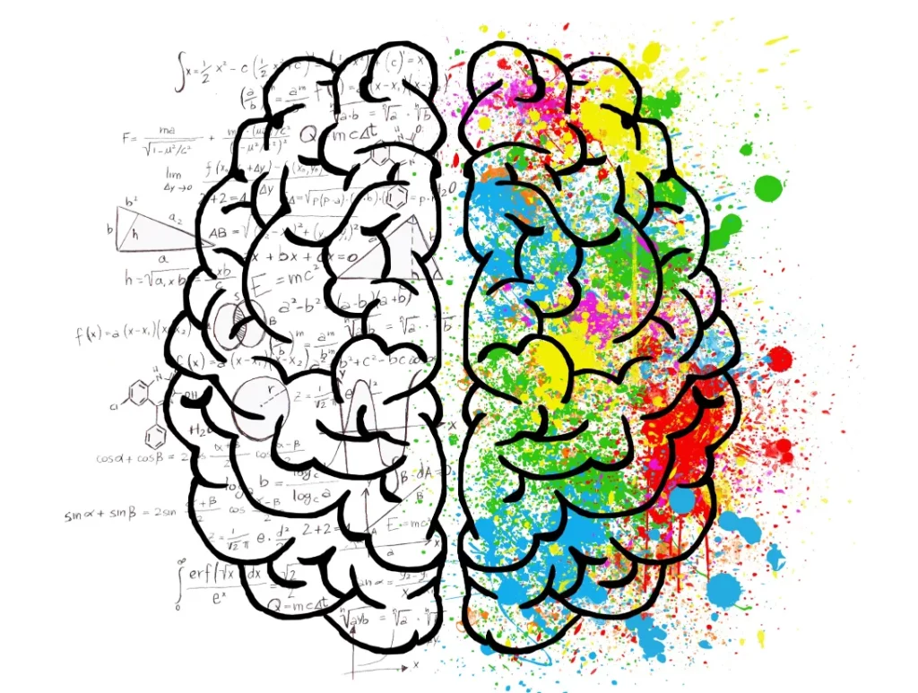 How the Brain & Eyes Interpret Color